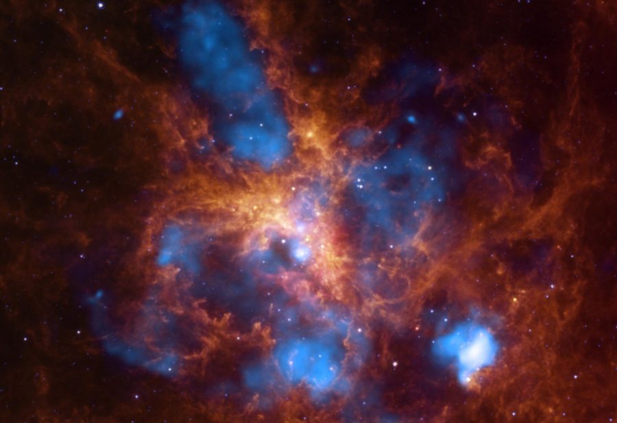The star-forming region, 30 Doradus, is one of the largest located close to the Milky Way and is found in the neighboring galaxy, Large Magellanic Cloud. About 2,400 massive stars in the center of 30 Doradus, also known as the Tarantula Nebula, are producing intense radiation and powerful winds as they blow off material. Multimillion-degree gas detected in X-rays (blue) by the Chandra X-ray Observatory comes from shock fronts -- similar to sonic booms --formed by these stellar winds and by supernova explosions. This hot gas carves out gigantic bubbles in the surrounding cooler gas and dust shown here in infrared emission from the Spitzer Space Telescope (orange). (NASA/MCT)