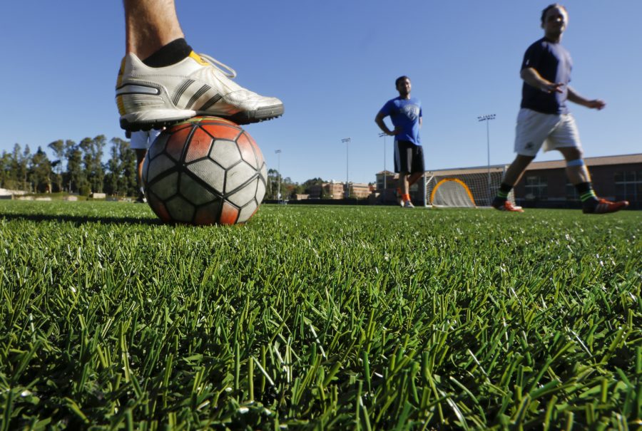 The recently installed artificial turf at the UCLA intramural field will save the Westwood campus 6.5 million gallons of water annually. (Mark Boster/Los Angeles Times/TNS)