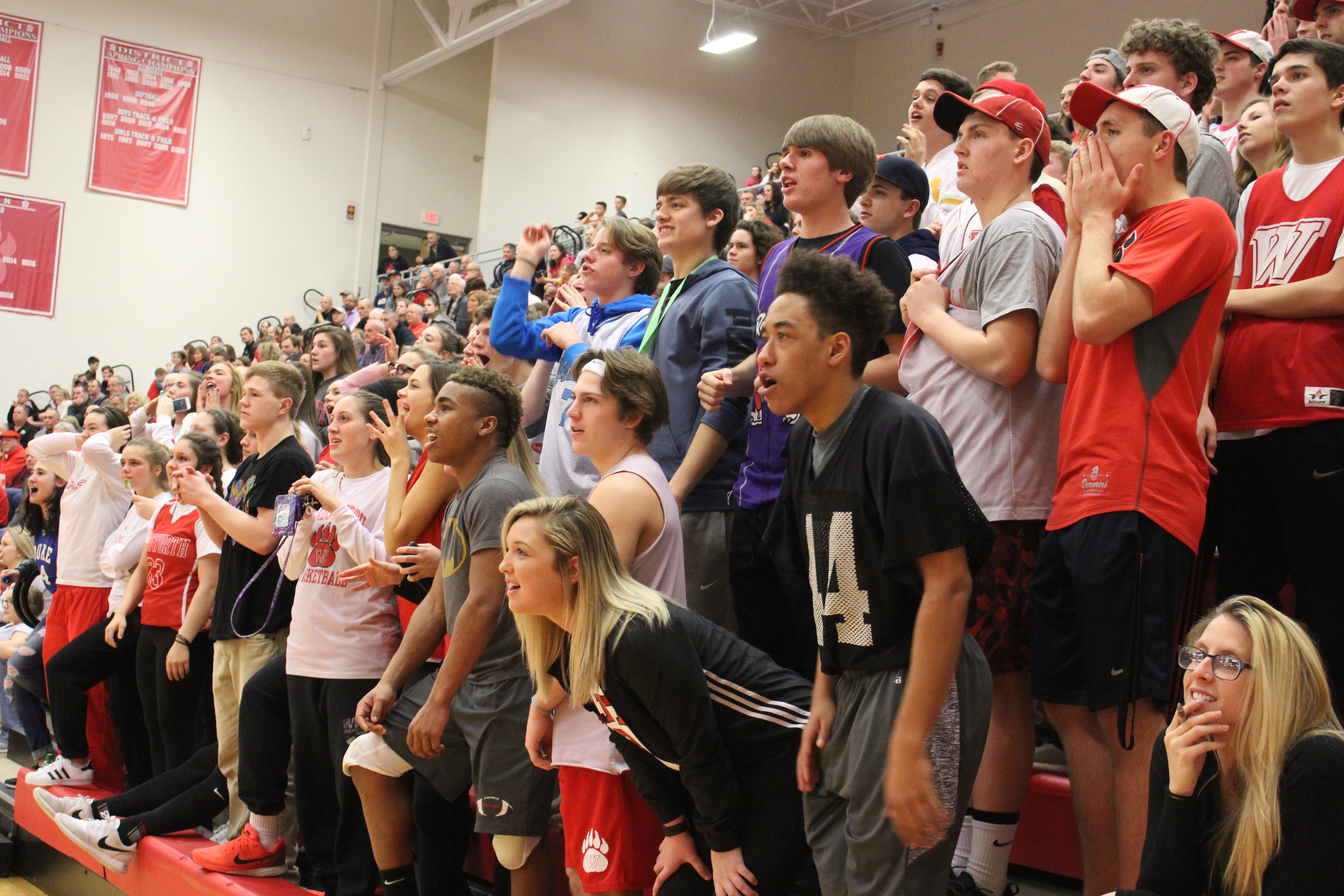 Basketball game crowd.JPG