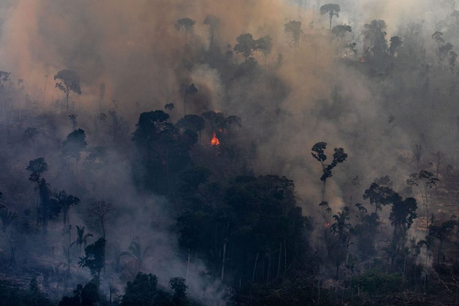 PORTO VELHO, RONDONIA, BRAZIL - AUGUST 25:  In this aerial image, A fire burns in a section of the Amazon rain forest on August 25, 2019 in the Candeias do Jamari region near Porto Velho, Brazil. According to INPE, Brazils National Institute of Space Research, the number of fires detected by satellite in the Amazon region this month is the highest since 2010.  (Photo by Victor Moriyama/Getty Images)