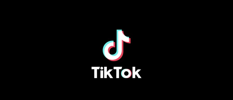 TikTok+recap+of+2020