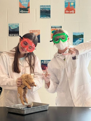 Wadsworth Biology Classes Dissect Pigs