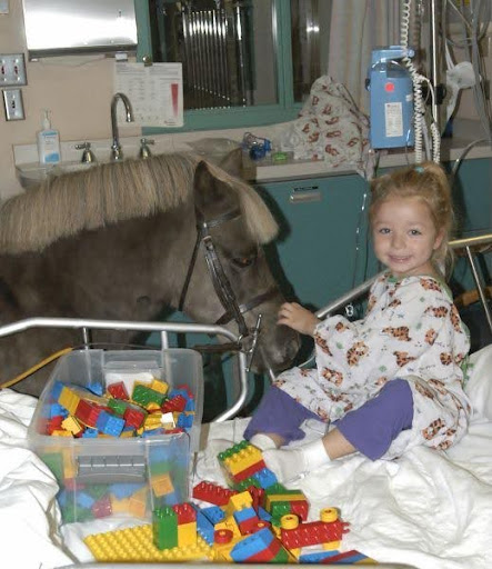 Petie the Pony puts a smile on a patients face in her hospital room. He was the first miniature pony to get certified to do therapy work inside of a hospital. Photo courtesy of Sue Miller.
