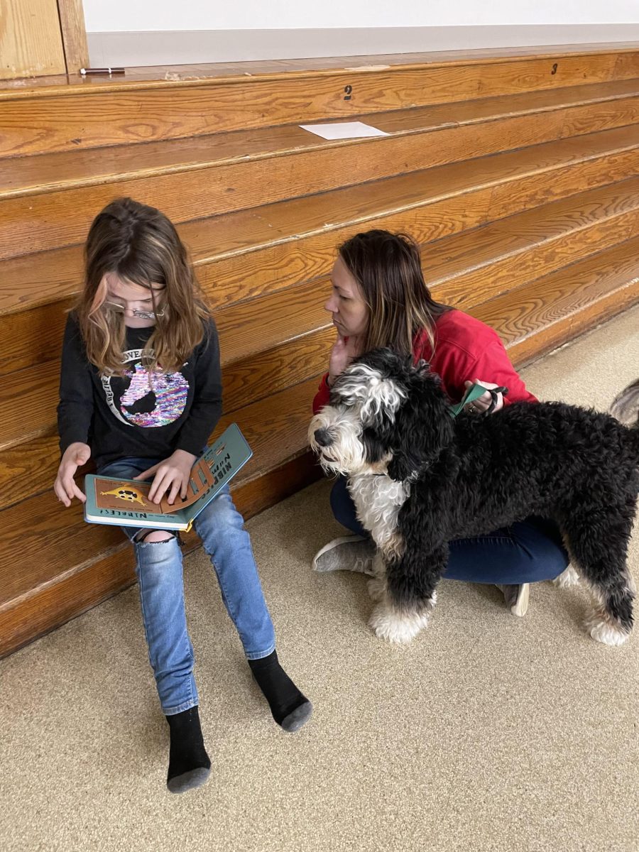 Wadsworth Schools Welcomes New Therapy Dog, Hank