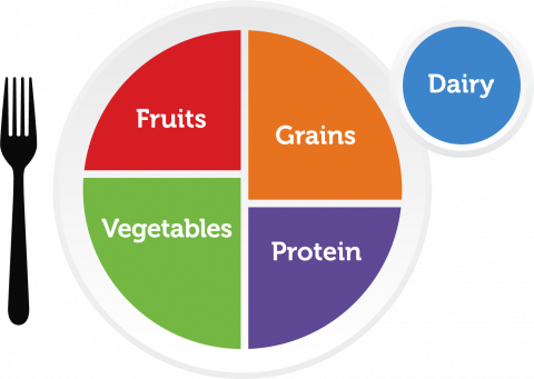 These are the main food groups the Healthy and Hunger-Free Kids Act is trying to enforce in all school lunches. This photo is used across many schools to show students what food groups are eaten in each lunch. Photo courtesy of Fair Use Laws. 