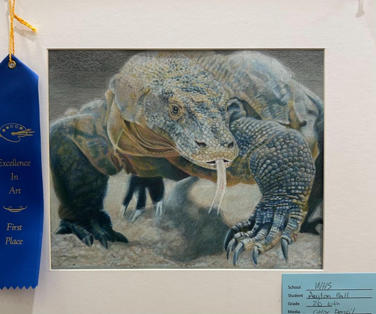 Payton Ball was the first-place winner in the 2D 1 category at the 2024-2025 art show. Ball is a sophomore at Wadsworth High School.