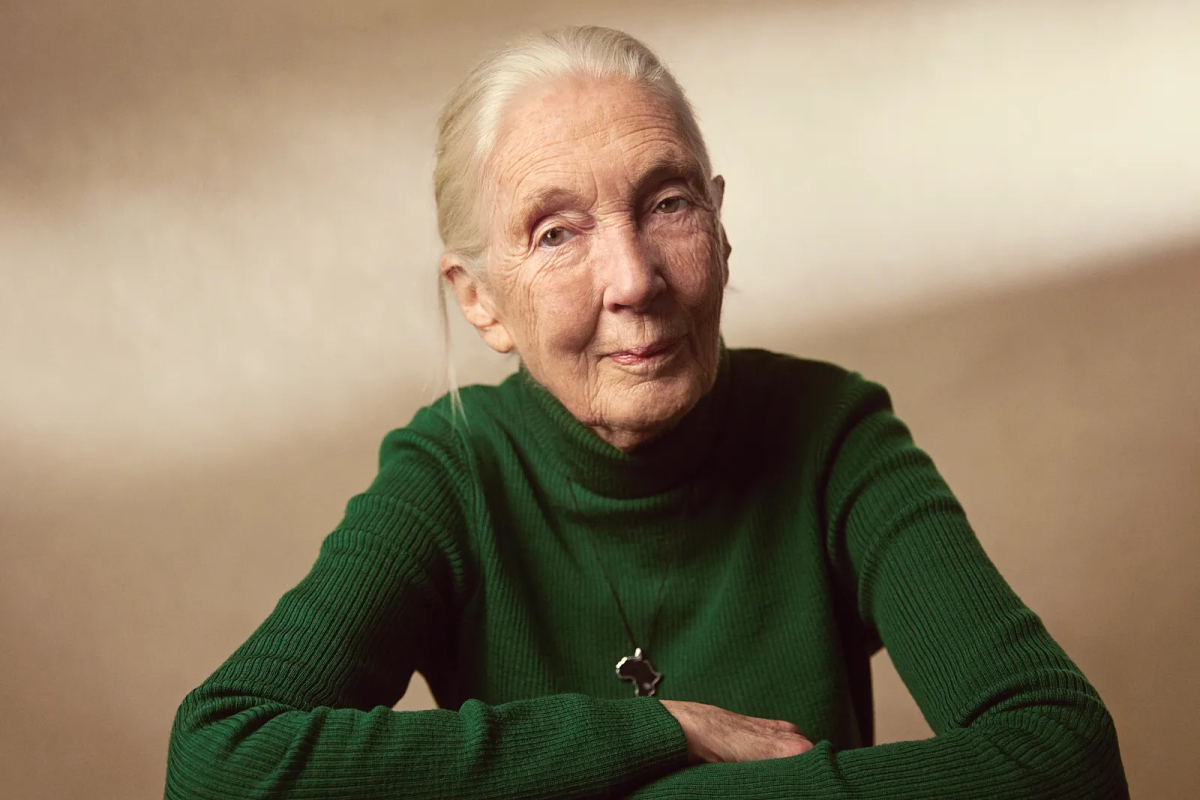 Jane Goodall's path to providing scientific research and inspiring generations to come was used to answer unanswered questions that will benefit all in the future. Her novel,  "Seeds of Hope" contains literary elements of why people should act against global warming, saving animals and preventing extinction, and portions about her favorite animal: Chimpanzees.