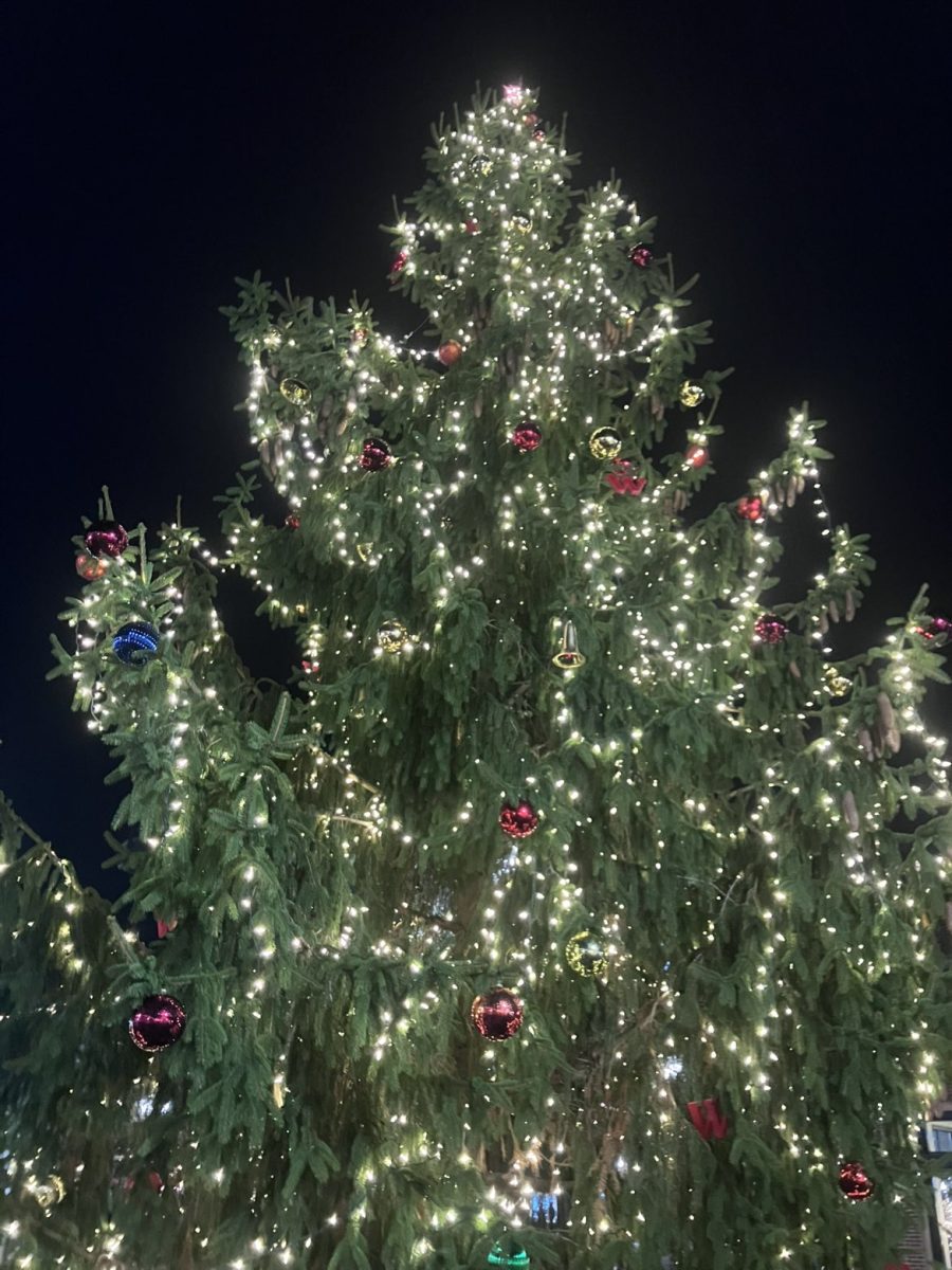 The Christmas Tree was lit during the Candlelight walk. It is decorated differently each year.